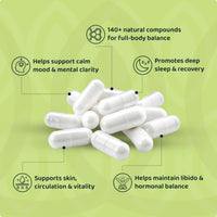 Rhodiola Rosea – Natural Cortisol Balance Reset